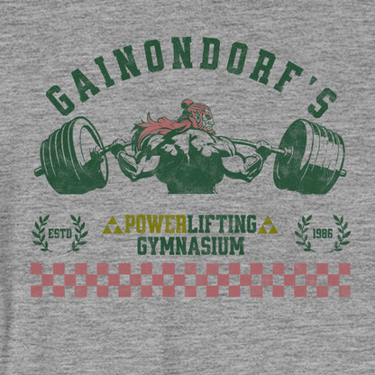 Gainondorfs Power Lifting Training Gym